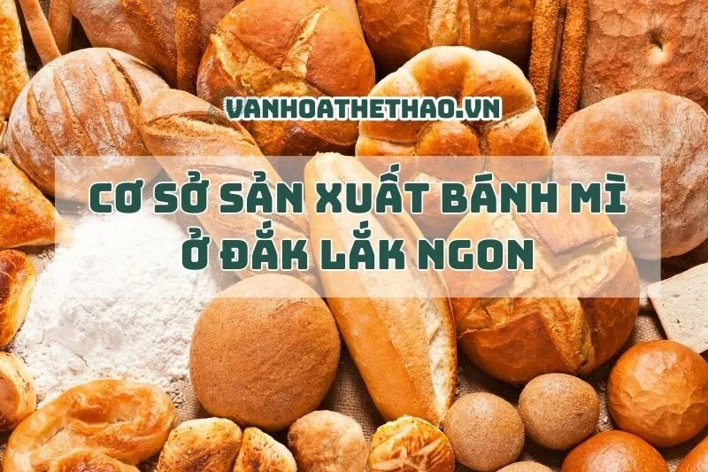 Top các cơ sở sản xuất bánh mì Đắk Lắk ngon