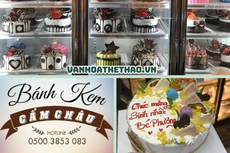 Bánh kem Cẩm Châu