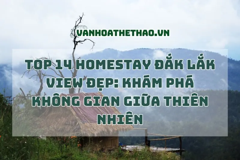 Top 14 Homestay Đắk Lắk View Đẹp 2024: Khám Phá Không Gian Giữa Thiên Nhiên