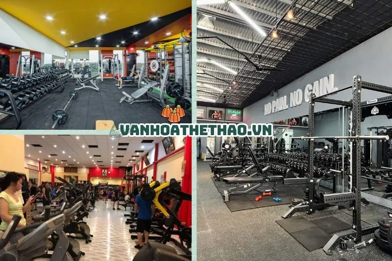 Top 7 phòng tập Gym Đắk Lắk uy tín 