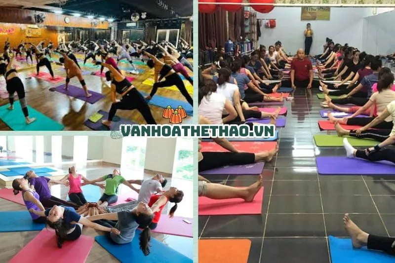 Top 9 phòng tập Yoga Đắk Lắk uy tín