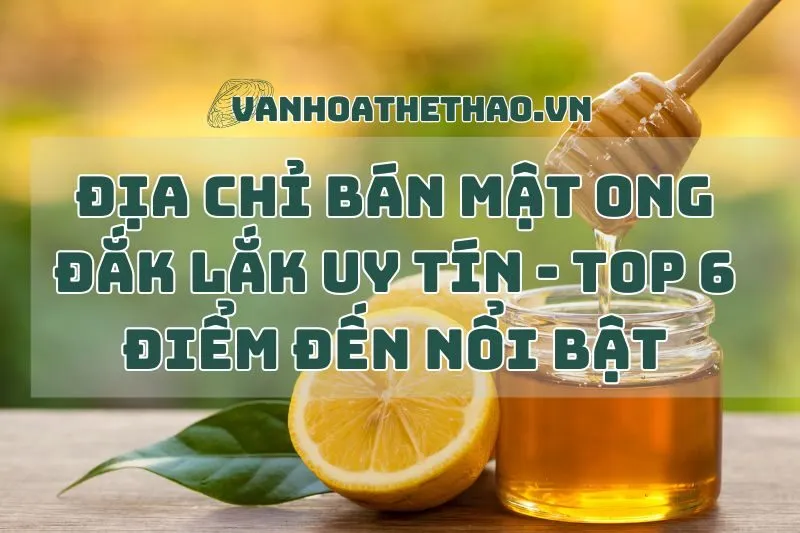 Địa Chỉ Bán Mật Ong Đắk Lắk Uy Tín - Top 6 Điểm Đến Nổi Bật 2024