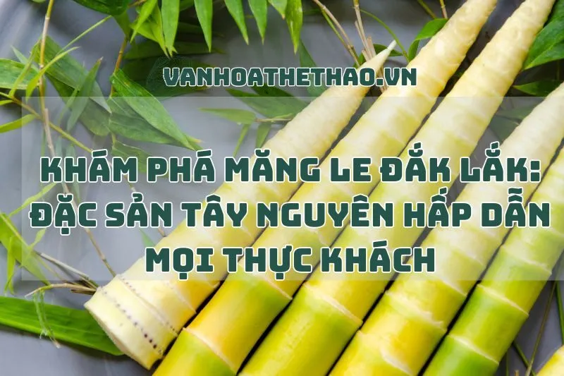 Khám phá măng le Đắk Lắk: Đặc sản Tây Nguyên hấp dẫn mọi thực khách